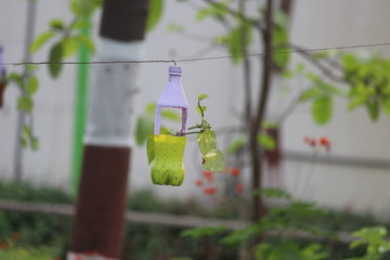 glass of water in garden