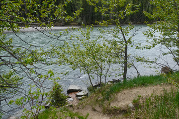 View of the rapids in the river. Wells Gray Provincial Park of British Columbia, Canada