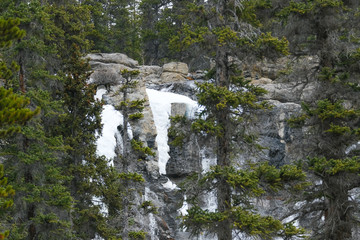Fototapeta na wymiar Cascading Tangle Creek Falls in Jasper National Park, Alberta, Canada