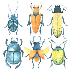 Watercolor beetles. Colorful bugs