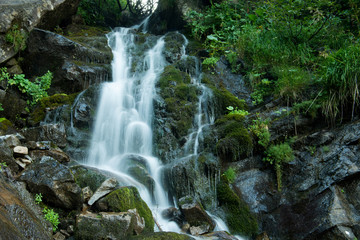 Scenic waterfall in the green Carpathian mountains