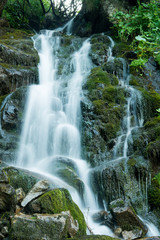 Fototapeta na wymiar Scenic waterfall in the green Carpathian mountains