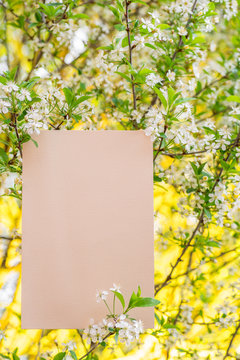 Paper Blank Between Cherry Branches In Blossom. Colorful Green And Yellow Nature Background.