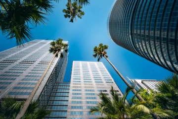 Outdoor kussens Upwards perspective of major high rise landmarks in Sydney CBD, View from the small green square featuring super tall skinny palm trees. © Daniela Photography