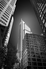 Fototapeta premium Light and shadow -Upwards perspective in black and white of major high rise landmarks in Sydney CBD, Australia.