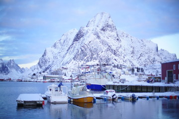 Fototapeta na wymiar A small harbor in Reine Norway