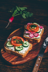 Two vegetarian sandwiches with fresh sliced tomatoes, cucumber and radish