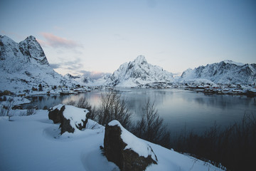 Fototapeta premium reine in Winter 