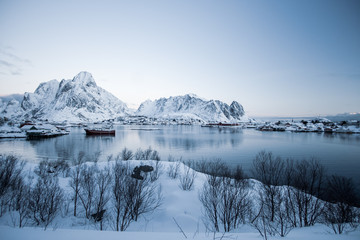 reine in Winter 