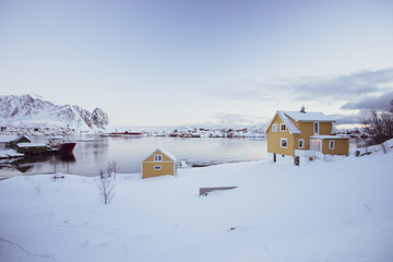 classical Norwegian houses in reine lofoten islands