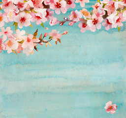 Watercolor blooming apricot or sakura tree twig with flowers, leaves and buds on blue or turquoise grunge background