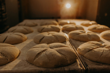 fresh dough ready for baking