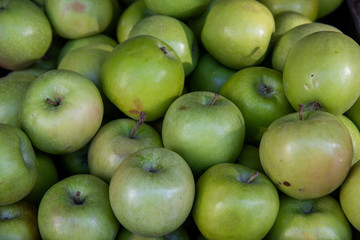organic green apples on black background