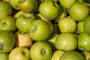 organic green apples on black background