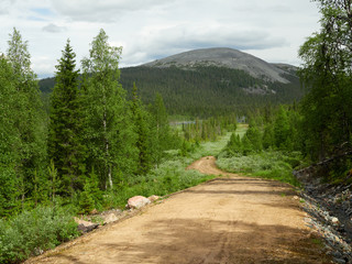 Scenic gravel road through the beautiful view of Finnish Lapland forest with a peak of the fell on the background in Ylläs hiking area in Finland.