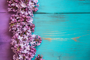 spring lilac on a wooden background of purple and turquoise color.