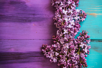 spring lilac on a wooden, purple background.