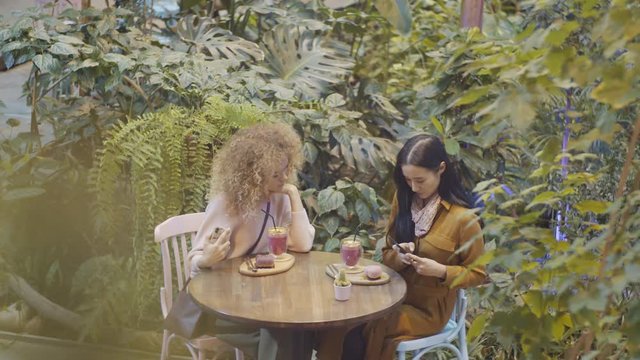 High angle shot of two female bloggers taking pictures of their drinks and desserts with smartphones and chatting while sitting at table in beautiful cafe filled with green plants