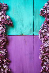 spring lilac on a wooden background of purple and turquoise color.
