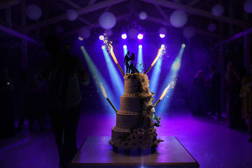 A wedding cake with silhouette of bride and groom