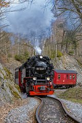 Harz nostalgisches Eisenbahnerlebnis im Selketal