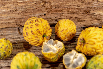 Fruit of the Annona crassiflora tree known as 