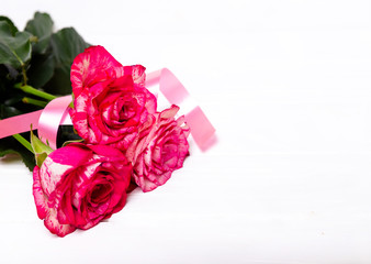 Fototapeta premium Pink roses and red ribbon on white background. The concept of the holidays