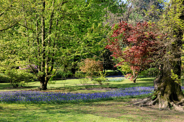 Verbania (VCO), Italy - April 01, 2017: Villa Taranto botanical gardens, Verbania, Piedmont, Italy