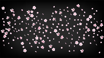 Nice Sakura Blossom Isolated Vector. Spring Blowing 3d Petals Wedding Frame. Japanese Style Flowers Wallpaper. Valentine, Mother's Day Realistic Nice Sakura Blossom Isolated on Black