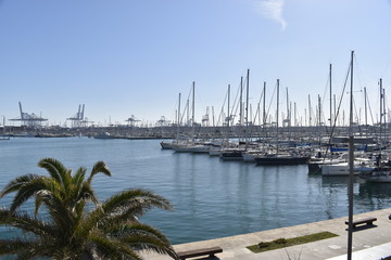 Obraz premium The waters of the port with yachts ,white yacht on blue sea