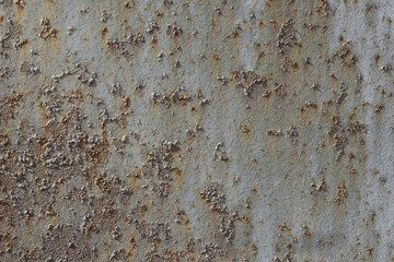 texture of old wall