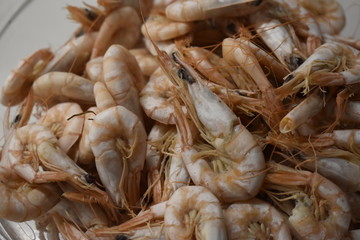 Cooked shrimp closeup