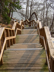 Fototapeta premium wooden staircase outdoors