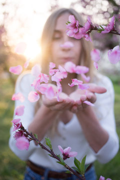 Cinematic and beautiful photo of young female blow on pink flower petals from trees in bloom on sunny summer or spring evening. Sun flares and flowers