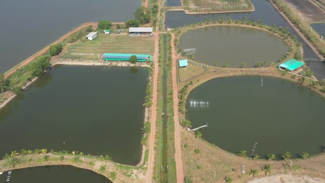 Aerial view from flying drone of Fish pond, fish farm