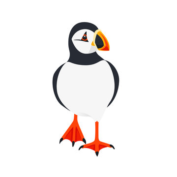 recommend clip art: Atlantic puffin bird walking cartoon animal design flat vector illustration isolated on white background