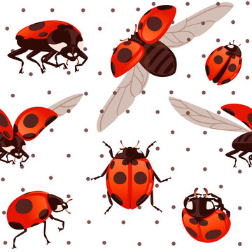 Seamless pattern ladybug with open shell and wings flying beetle cartoon bug design flat vector illustration on white dotted background