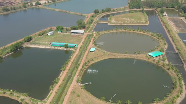 Aerial view from flying drone of Fish pond, fish farm