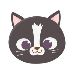 cute cat face feline cartoon animal icon