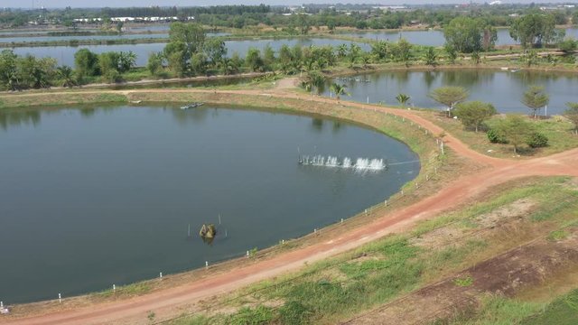 Aerial view from flying drone of Fish pond, fish farm