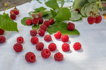 fresh raspberries 