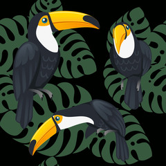 Seamless pattern of mature brazilian toucan bird cartoon animal design flat vector illustration on dark background with green leaves © Alfmaler