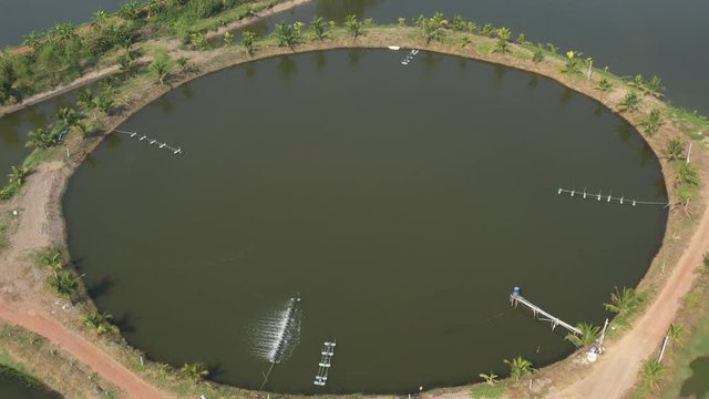 Aerial view from flying drone of Fish pond, fish farm