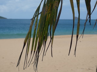 Fototapeta na wymiar plage Deshaies Guadeloupe