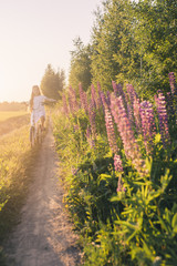 Happy girl in a white dress rides a bicycle on the road among a field with lupins