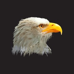 Illustration of an eagle on a black background. Very harmonious if used as a poster to decorate the room.