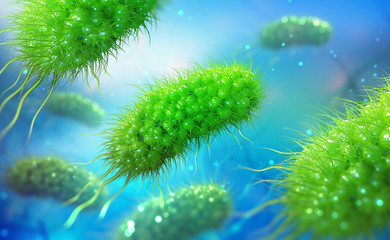 Escherichia coli, colony of bacteria 3D illustration. Microorganisms in aquatic environment under microscope. Probiotics. Intestinal bacteria, Gut flora