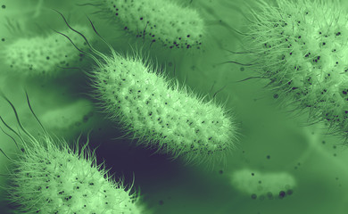 Escherichia coli, colony of bacteria 3D illustration. Microorganisms in aquatic environment under microscope. Probiotics. Intestinal bacteria, Gut flora