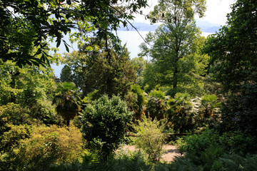 Fototapeta premium Stresa (VCO), Italy - June 02, 2018: Villa Pallavicino garden, Stresa, Verbano-Cusio-Ossola, Piedmont, Italy.