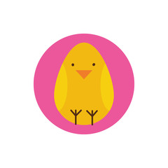 cute little chick spring block and flat style